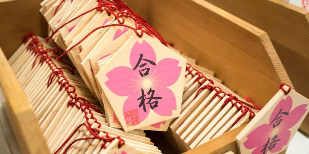 合格実績(公立・私立どちらも対応/公立上位校に強い)