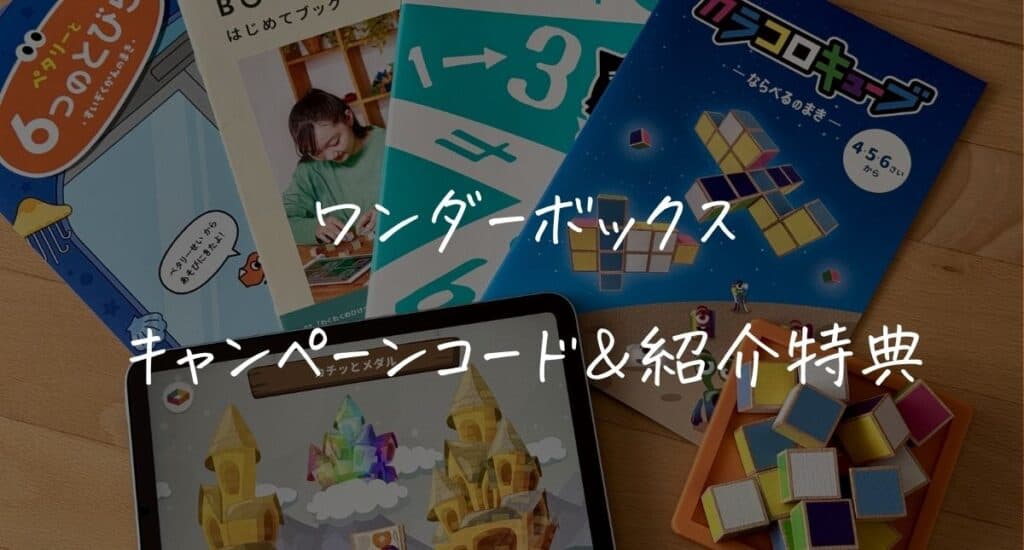 【8220円お得！】ワンダーボックスのキャンペーンコード＆紹介特典！一番得する始め方を解説