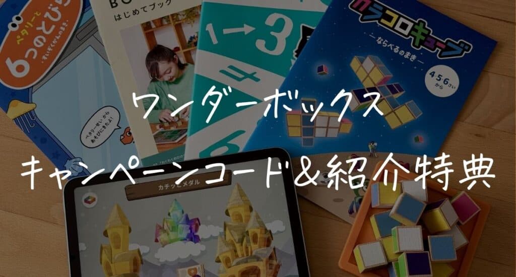 【8220円お得！】ワンダーボックスのキャンペーンコード＆紹介特典！一番得する始め方を解説